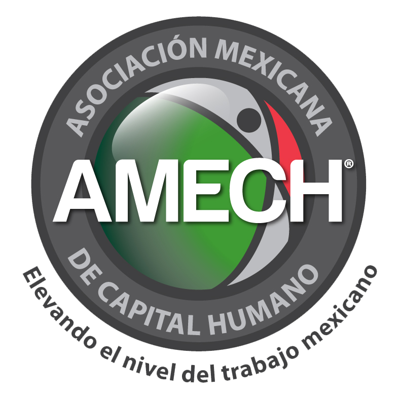 logo_amech (1) copia